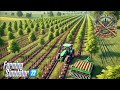 Growing Our Own Saplings on Day 3 of the Lumberjack Millionaire Challenge