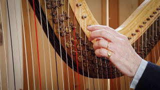 Introducing the Double Action Harp