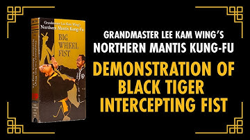Demonstration of Black Tiger Intercepting Fist [EXCERPT] Grandmaster Lee Kam Wing