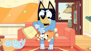 Government ✉️ | FULL BLUEY MINISODE | Bluey