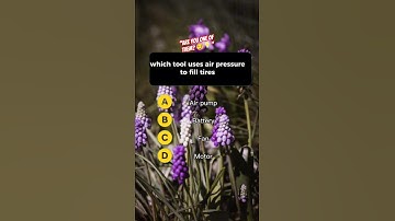 Alleen echte genieën kunnen dit in 7 seconden oplossen! ⏳🧠