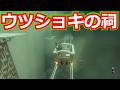 [ゼルダの伝説]ウツショキの祠をクリアした。宝箱もコンプリートした。/ティアキン