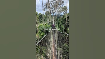 I explored Kakum National Park, one of Ghana’s most famous natural treasures! 🌳🇬🇭