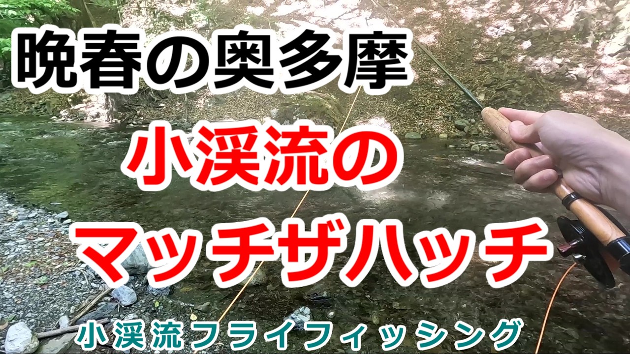 2026 Okutama⑥] ​​Late Spring in Okutama: Match the Hatch in Small