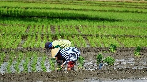 SUGUH DAYUH !!! Klenengan Campursari gayeng menyambut tamu