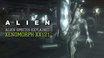 The Xenomorph XX121 - Alien Species Explained