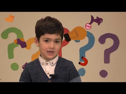 \"ენკი-ბენკი\"- \"შეკითხვების აბდაუბდა\" - დემეტრე მოდებაძე