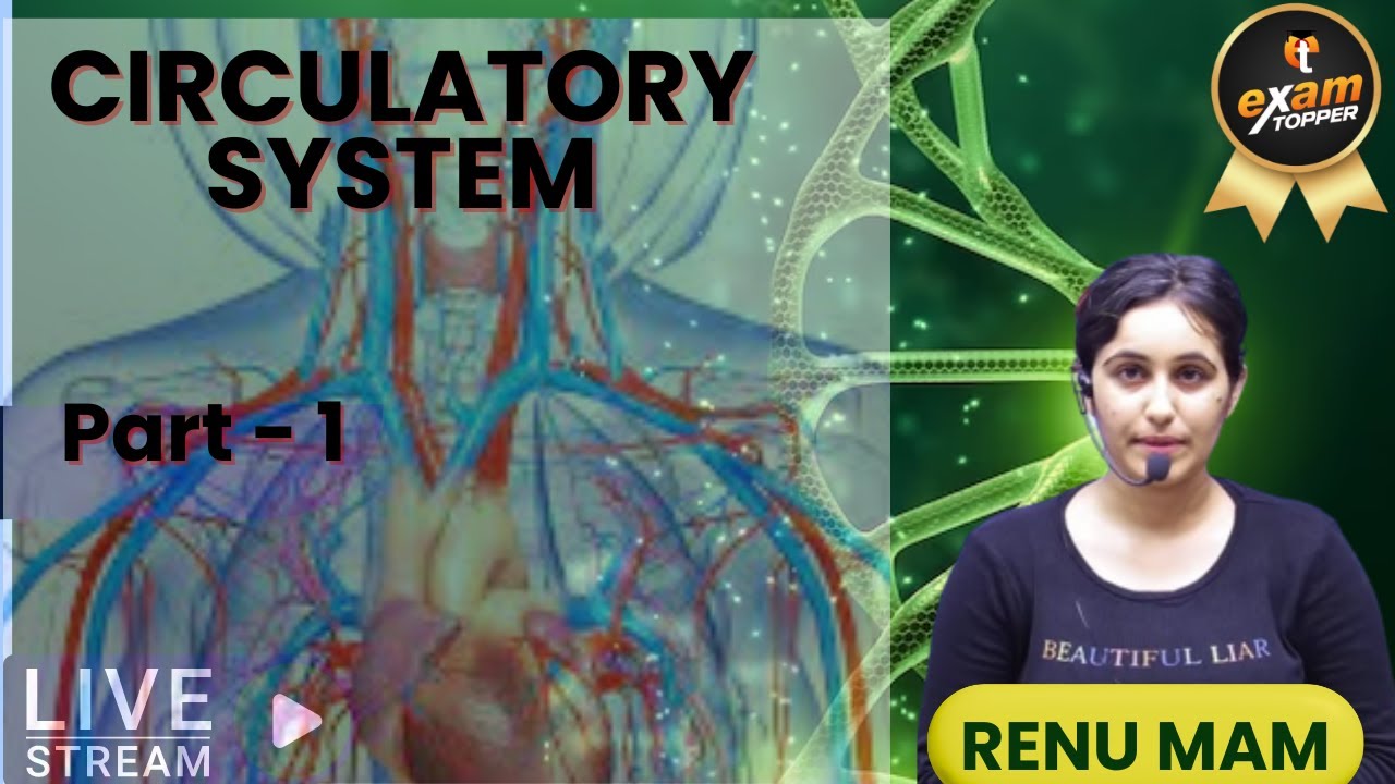 CIRCULATORY SYSTEM FUNCTION SIMPLE DEFINITION visual data 2