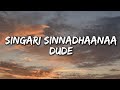 Singari Lyrics Dude