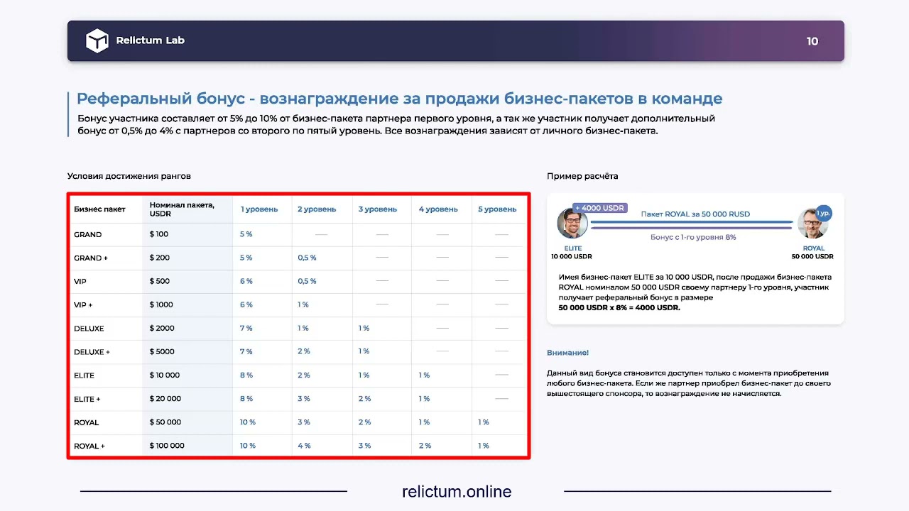 Маркетинг Relictum Pro _ Relictum Lab