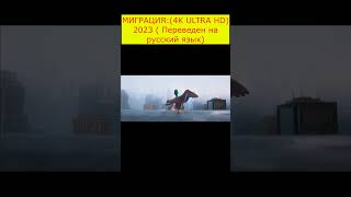 МИГРАЦИЯ: (4K ULTRA HD) 2023 ( Переведен на русский язык)