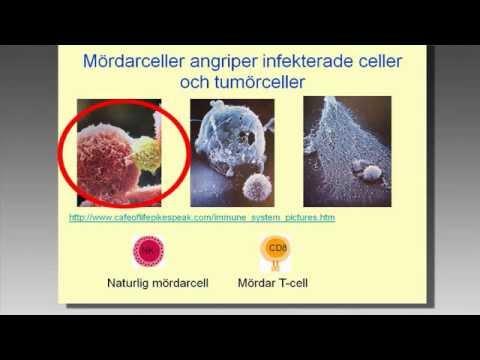 Video: Biomaterialbaserade Plattformar För In Situ Dendritisk Cellprogrammering Och Deras Användning Vid Antitumörimmoterapi