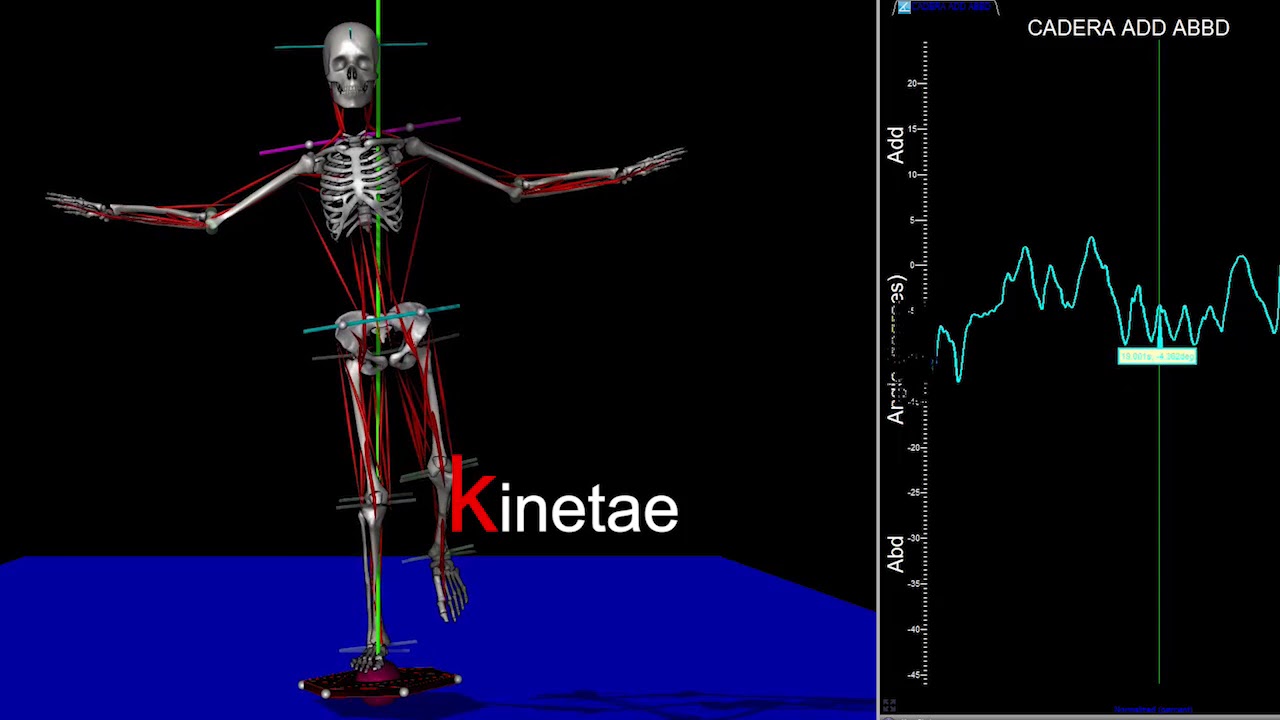 Equilibrio sobre plato de Freeman Kinetae corredores en ingles