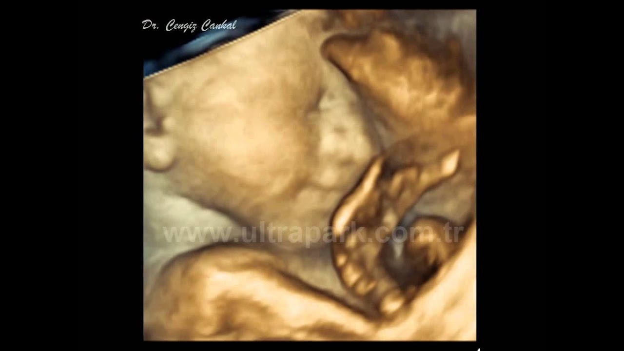 Anne karnında gülen bebek YouTube