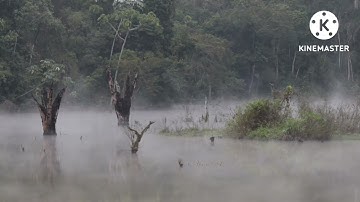 ايمن السويد سورة الحجر كاملة