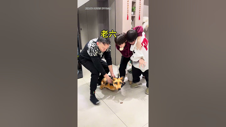 女儿的家庭地位真的高！ #血脉压制 #四小只吖 #日常 #搞笑 #搞笑家庭 #姐弟 #家庭生活