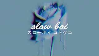 flume - intro feat. stalley (slowed + reverb)【スローボイ コトゲコ】