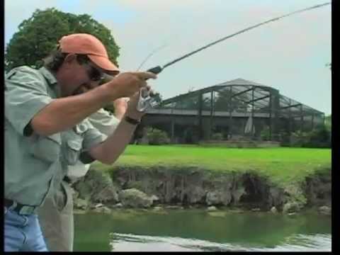 zebco rhino indestructible casting spinning rod