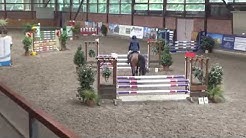 Con Calidad, holsteiner gelding, 2012, Connor x Locato