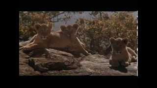 Living Free 1972 Beginning, Sung By Julie Budd