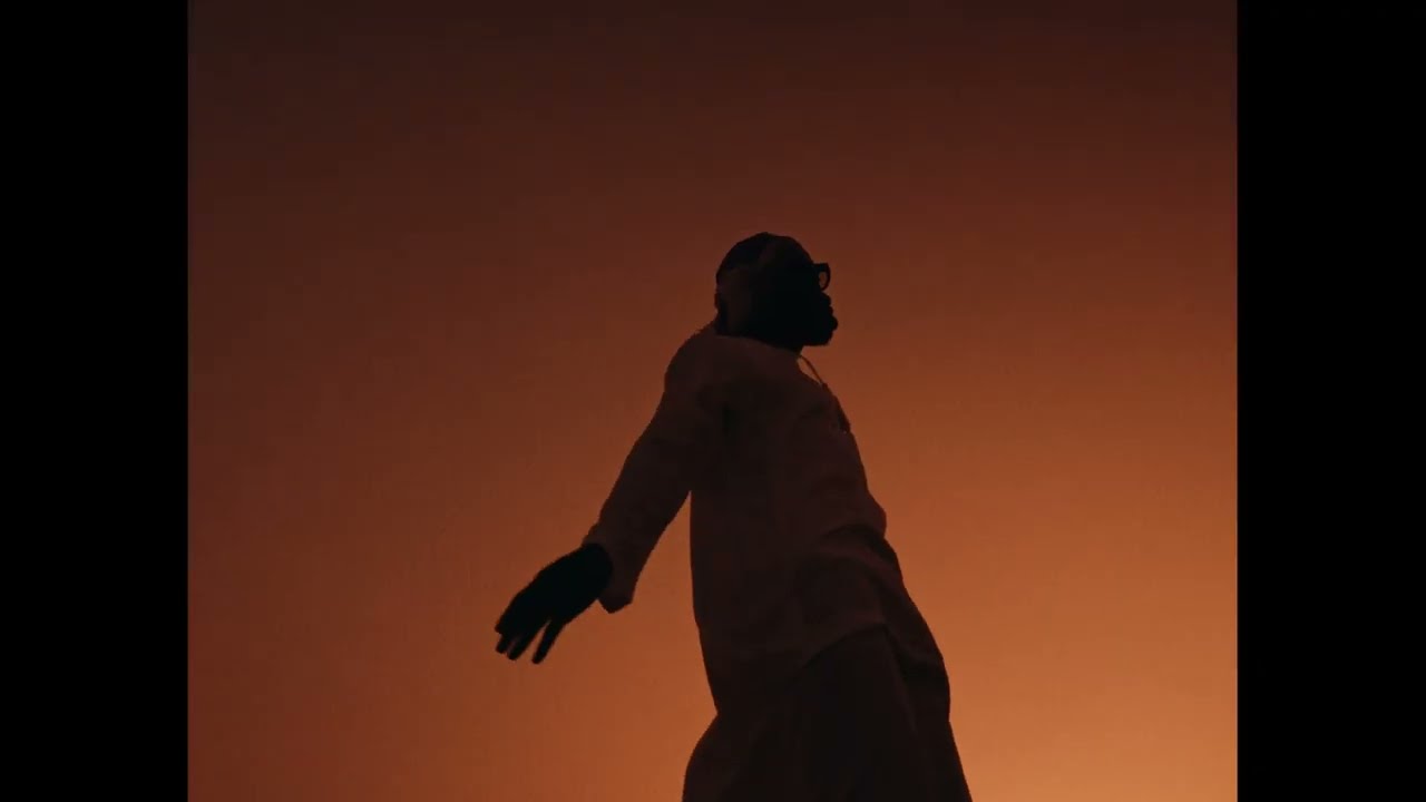 L'Oiseau Rare - BONJOUR ( Visualizer )