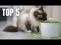 Top 5 Best Cat Water Fountain !