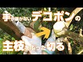 【3月上旬】デコポンの剪定！しっかり管理をするには手の届く高さに切る！(DEKOPON)