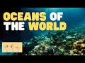 Marine Life and Ocean Facts