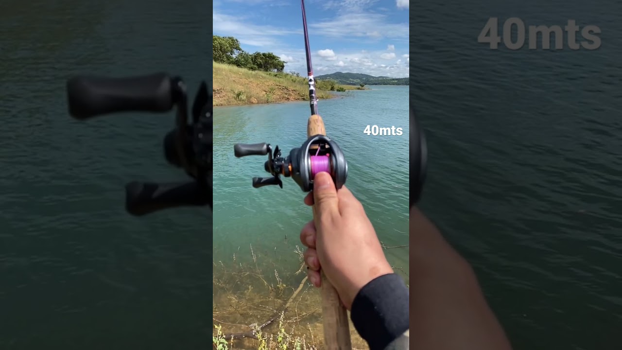 Carretilha Fox Zest 🦊