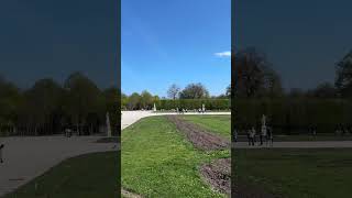 Schönbrunn Palace / Дворец Шенбрунн в Вене #Shorts #Vienna #Austria