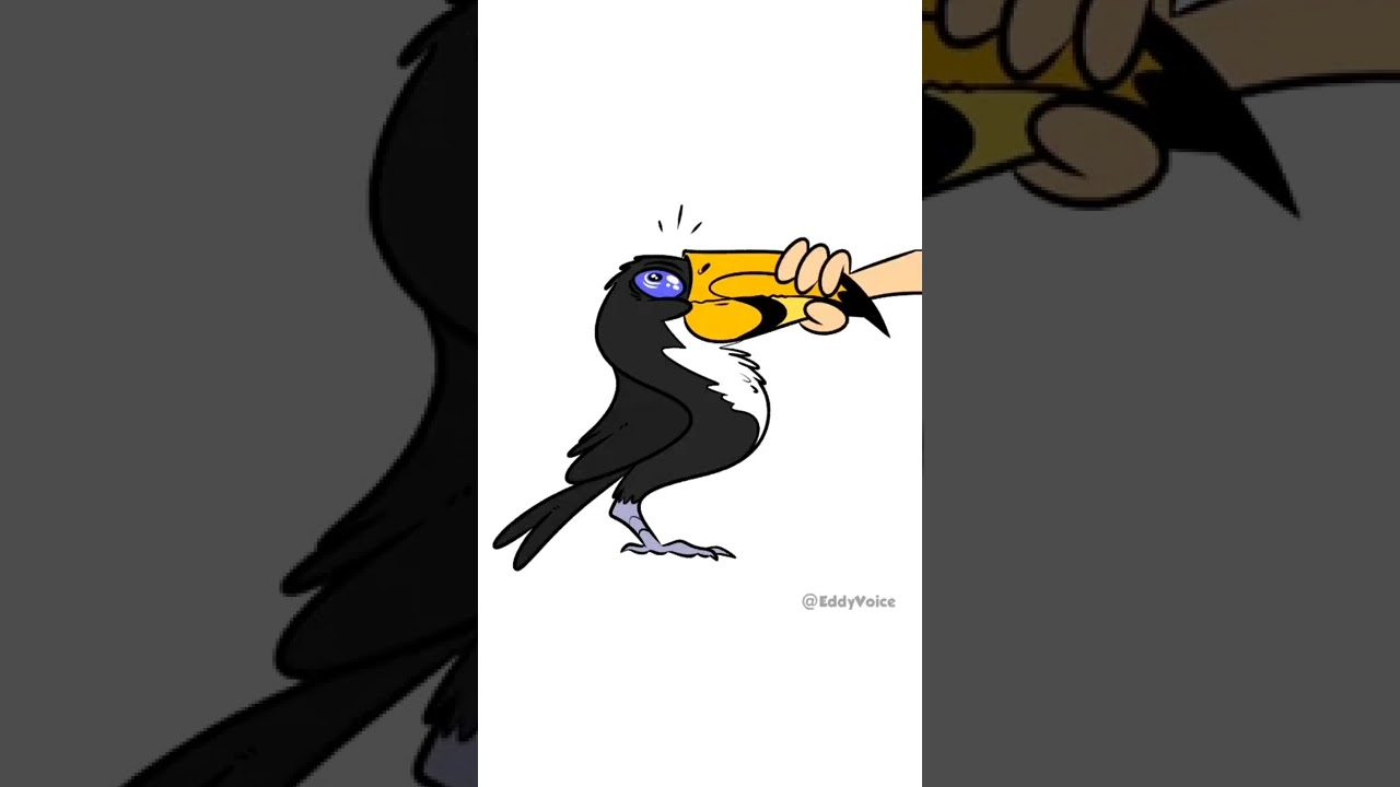 🤫El secreto del Tucán🤭