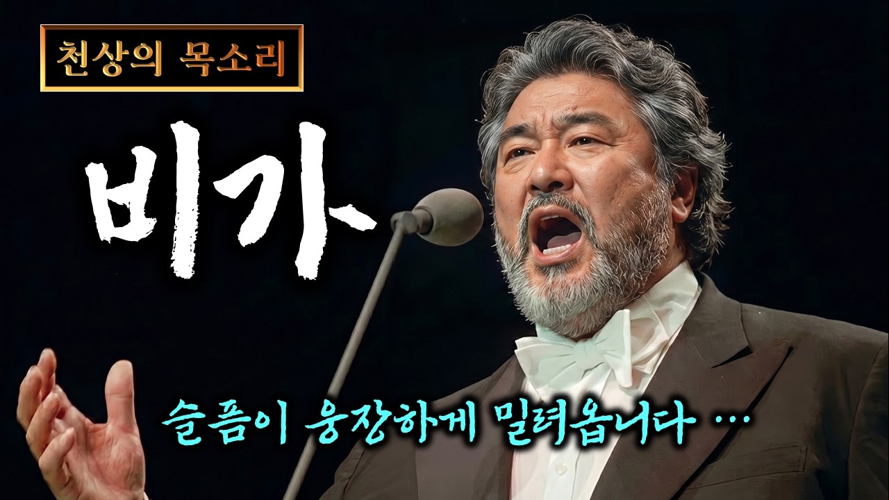 "트로트가 이렇게 고급질 수 있나요?" 역대급 웅장함에 압도되는 '비가' 성악Ver.