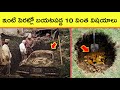 Top 10 Discoveries found in Backyard | Amazing facts | BMC facts | Telugu