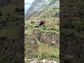 Don't visit Northern Pakistan until you see this 🏔️⚠️ #TravelTips #Shorts
