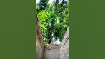 #عبدالرحمن_مسعد_تلاوة_جديدة #عبدالرحمن_مسعد #quran #shortvideo