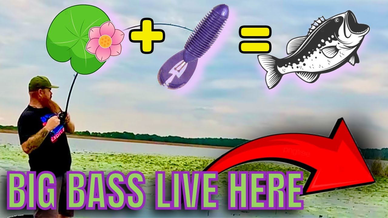 Punching for a BIG bite / Martin Creek