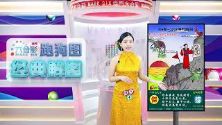 第300期 --【澳门跑狗图】潘金莲来给你解图啦!别错过哦!🔥 🔥#新澳门六合彩 #澳门六合彩 #香港六合彩 #六合彩 #跑狗图 #六合图纸视频解料 #潘金莲  #经典解图 #marksix #特码