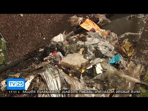 ბათუმში სანიაღვრე არხების გაწმენდა მიმდინარეობს