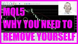 Celebrity MQL5 TUTORIAL - WHY YOU NEED TO REMOVE YOURSELF Net Worth