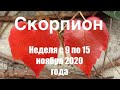 Скорпион. Таро-прогноз на неделю с 9 по 15 ноября 2020 года.