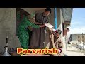 Parvarish  kashmiri drama