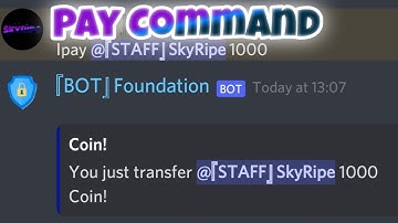 BDFD Pay/Give command | BDFD Tutorial Indonesia 🇮🇩|See The Result |