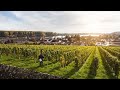 Explore wines of germany rheinhessen