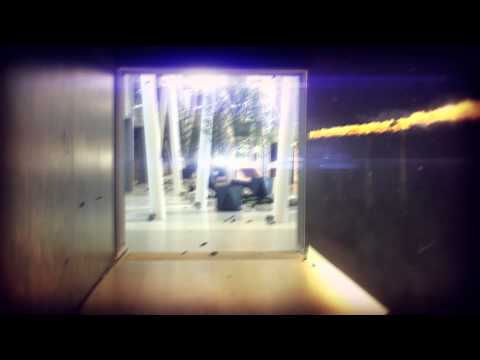 11 გიგანტი ბრენდი-ფორუმი ახალი ნათებისგან