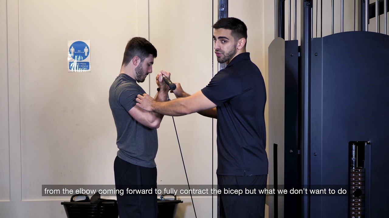 EZ Bar Cable Bicep Curl YouTube