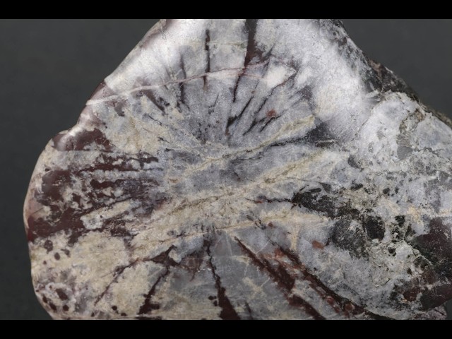 根尾谷産 菊花石 183g / Chrysanthemum Stone - YouTube
