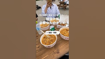 韓国入国で必要なものまとめ🇰🇷 #韓国 #韓国旅行 #旅行 #海外旅行 #海外 #女子旅 #一人旅 #学生旅行 #カップル旅行 #男旅 #newt