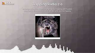 Trapping Radio 138 trapping tips, winter raccoon trapping with Freedom Brand DP Traps,...
