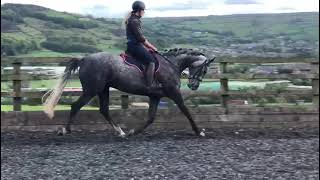 Ad ref 253958 Video 2