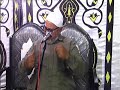 كلمة الداعيه الاسلامى الشيخ صلاح الجعبرى فى عزاء الأستاذ رشدى محمد عجاج رحمه الله ميت الفرماوى 2 11